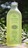 Olive, Sweet Orange and Honey Organic Shampoo